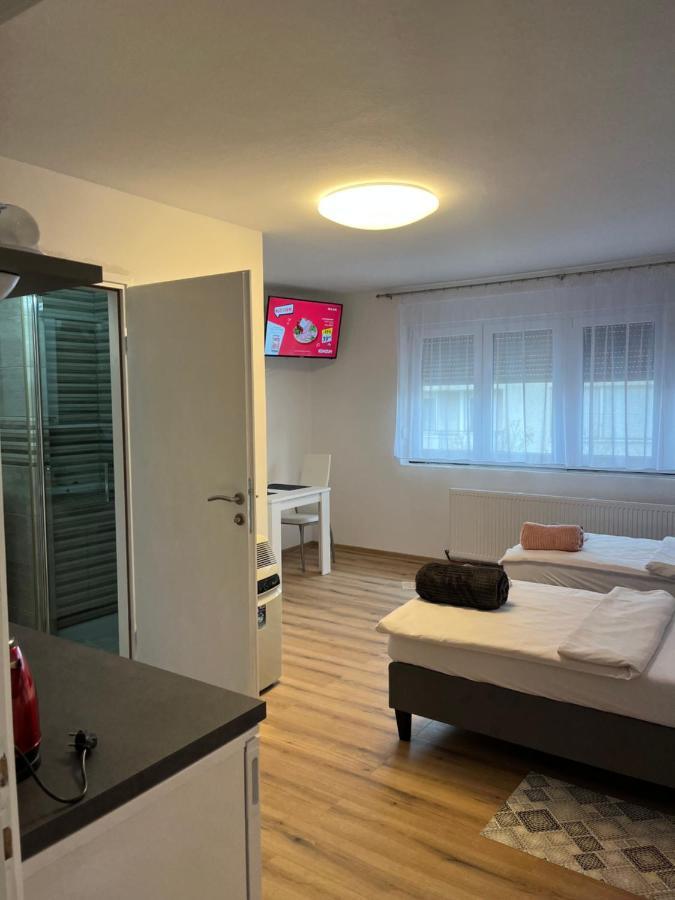 Opg - Zm Apartmani Martinovic Novska Esterno foto